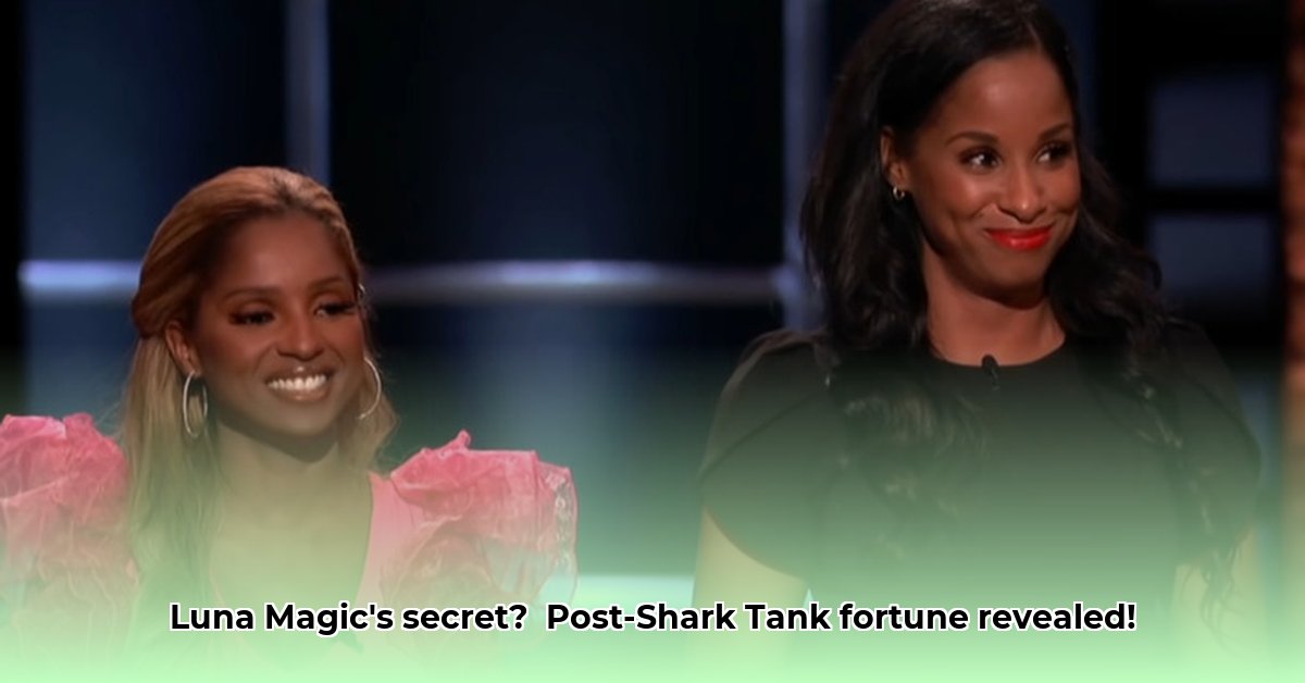 luna-magic-net-worth